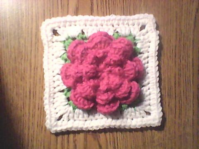 Desert Rose