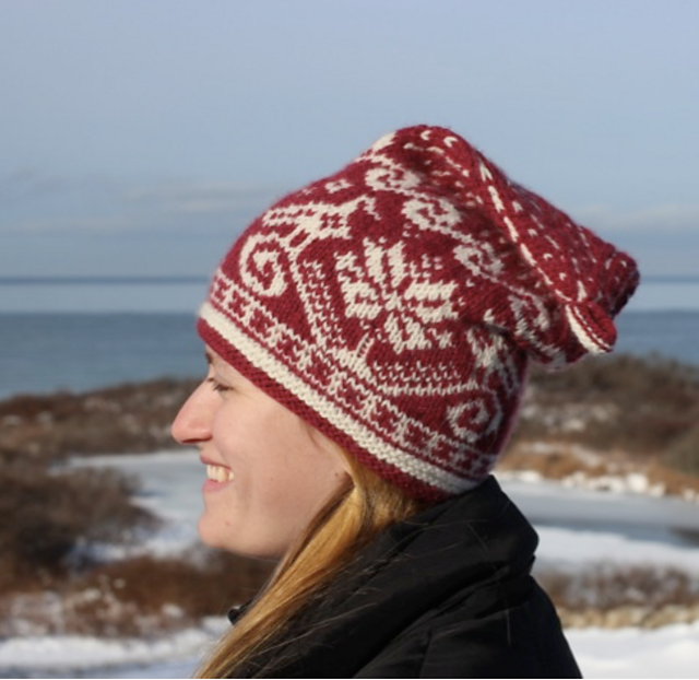 Island Birds Hat