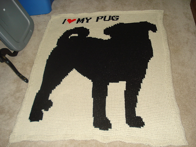 I love my Pug!