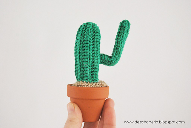 Minus' Cactus