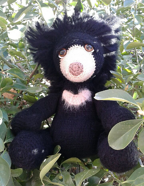 Sam the Sloth Bear