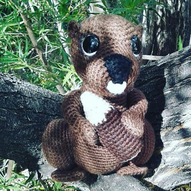 Bob the Beaver