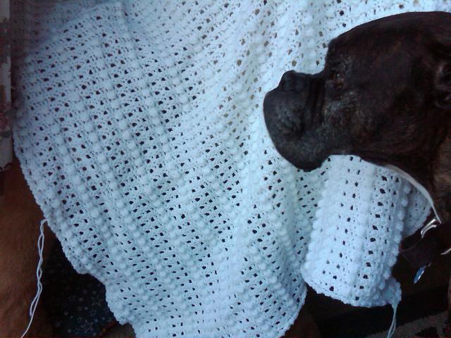 Lacy Clusters Baby Blanket