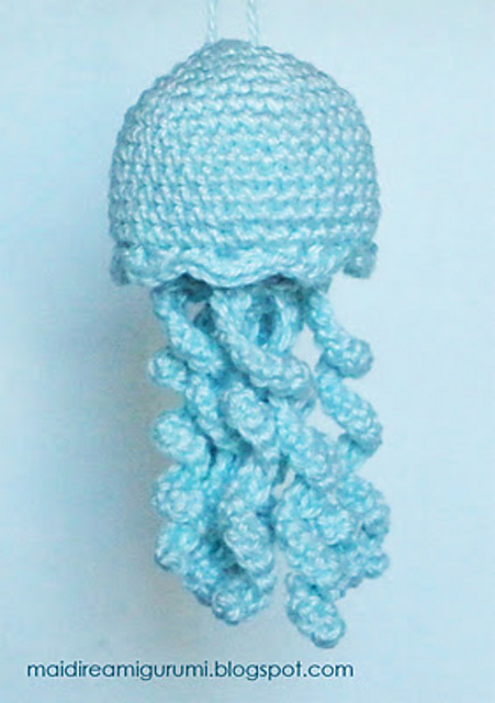 Jellyfish