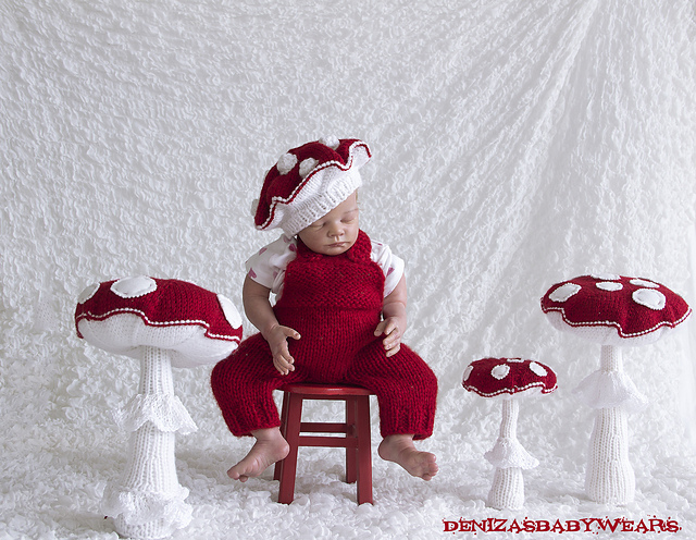 Fly Agaric baby beret