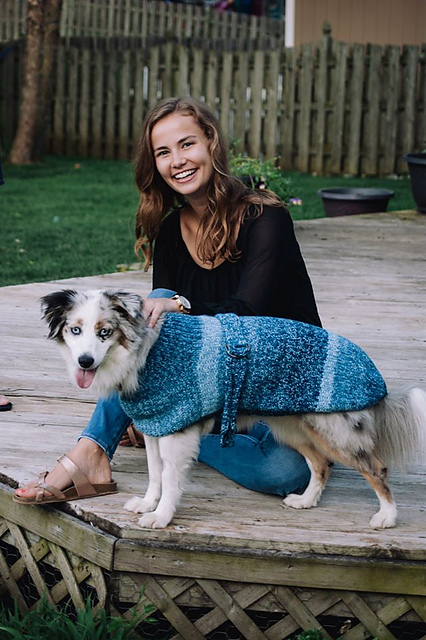 Autumn Ocean Dog Sweater