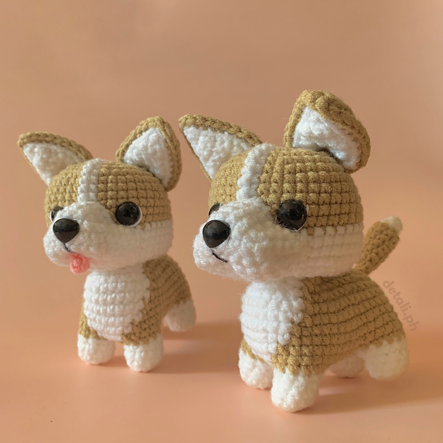 Dog  CORGI