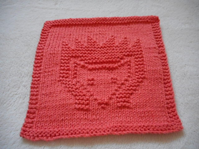 Hedgehog Dishcloth