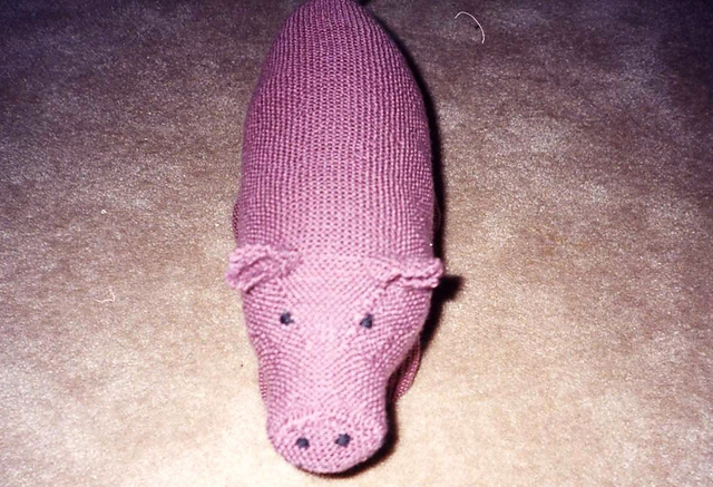 Pig