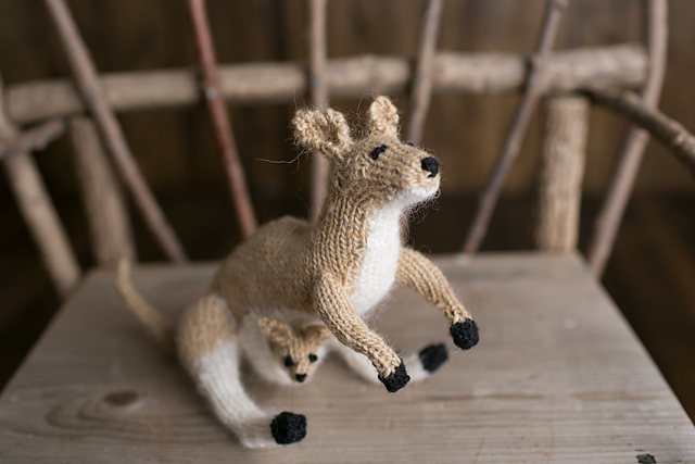 Kangaroo