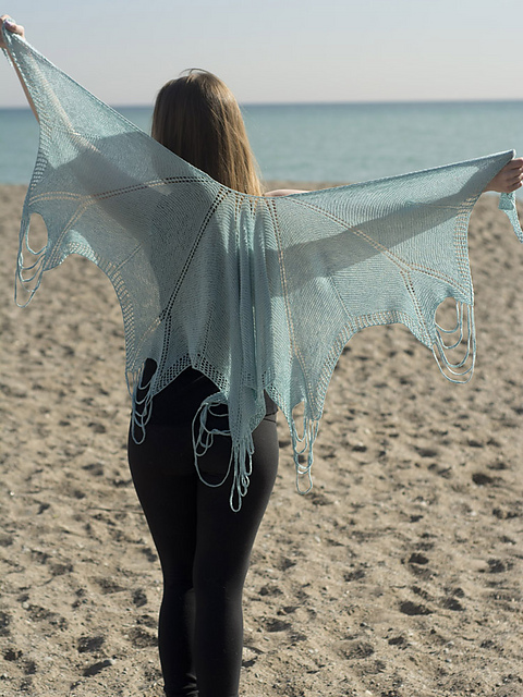 1560 Velella velella shawl