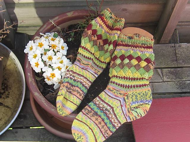 Rocky Mountain Wildflowers Entrelac Socks