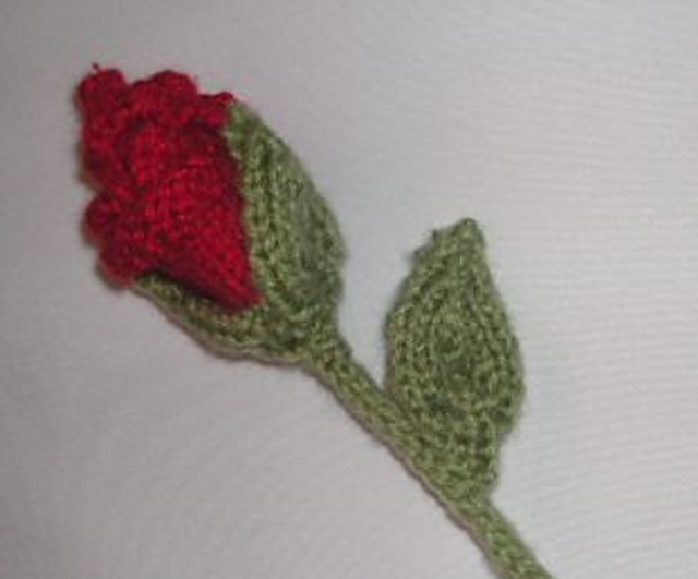St George's Day Rose