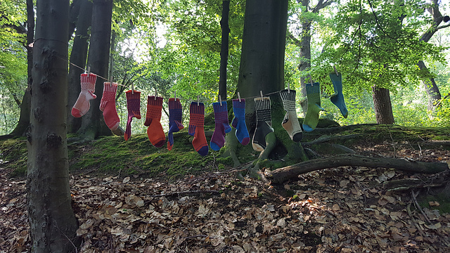 "Skyline" Socks