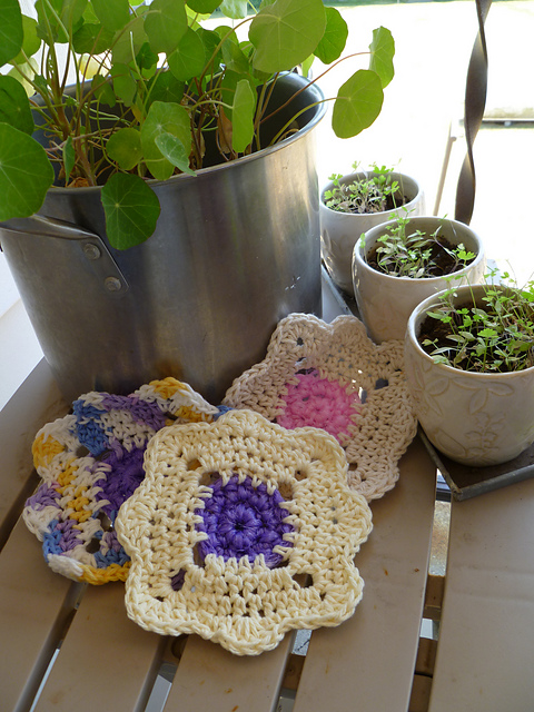 Scrubbing Dishcloths