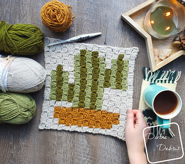 C2C Cactus Afghan Square