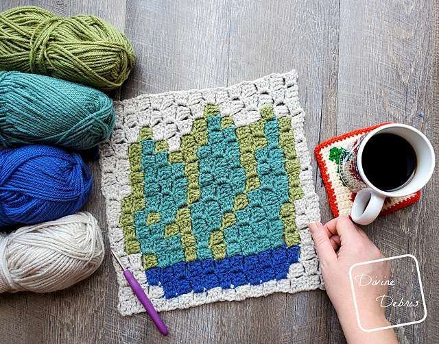C2C Agave Plant Square