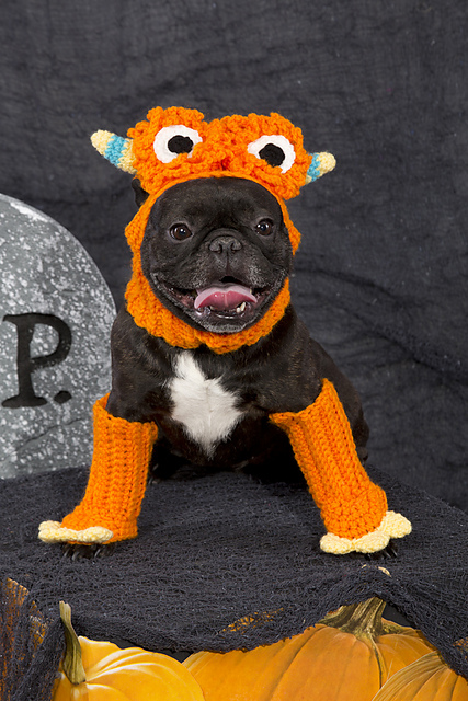 Dog Monster Costume