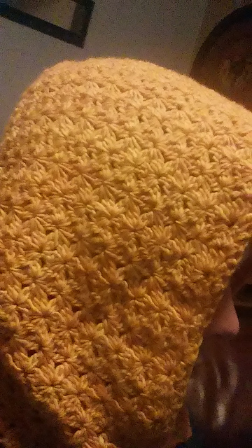 Hooded Scarf