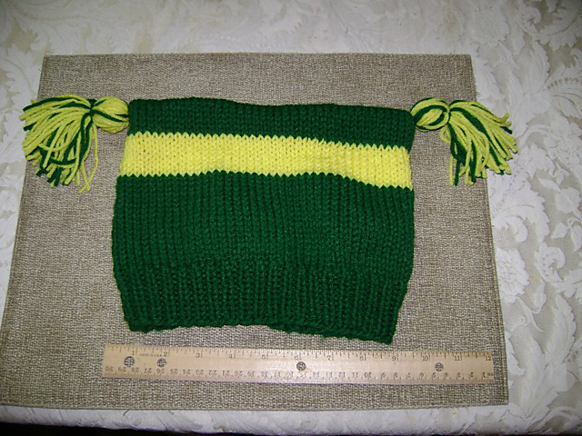 School Spirit Hat