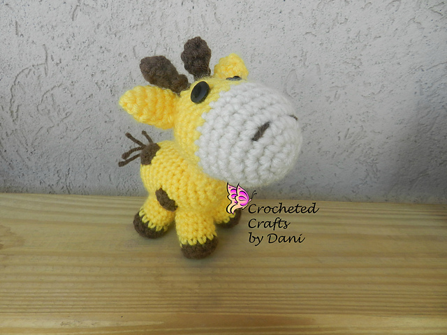 Baby Giraffe