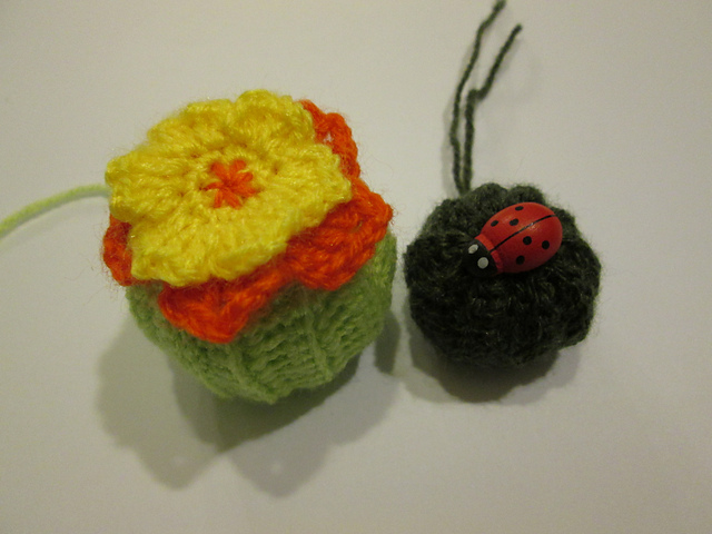 round barrel cactus