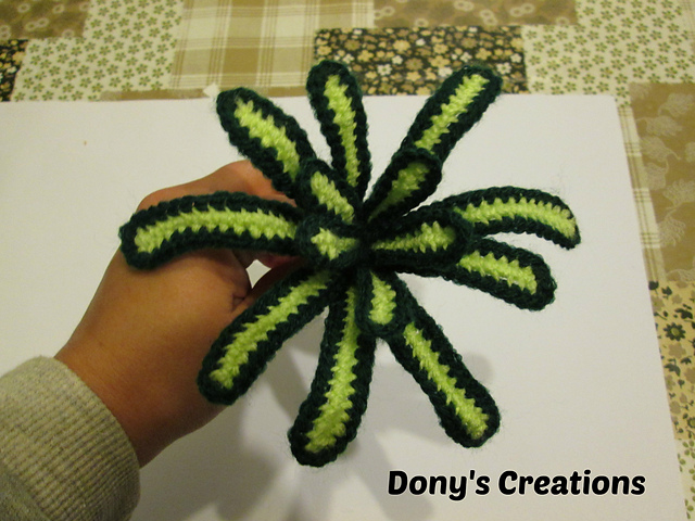 Leaf cactus