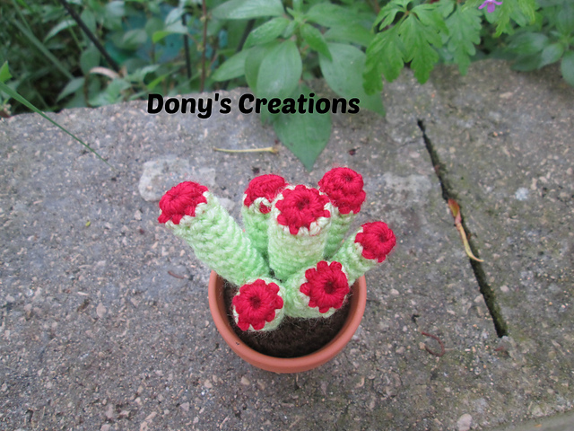 Turbine cactus