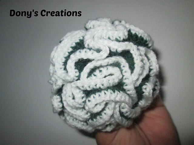 Curled cactus