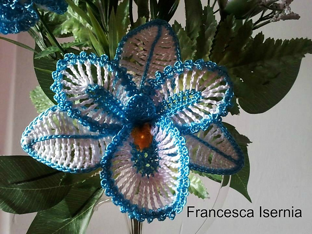 orchidea