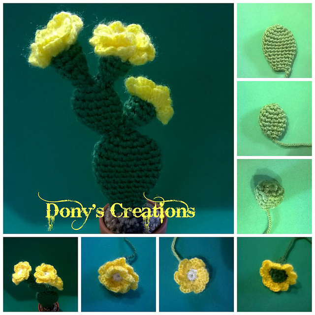 Prickly pear mini cactus