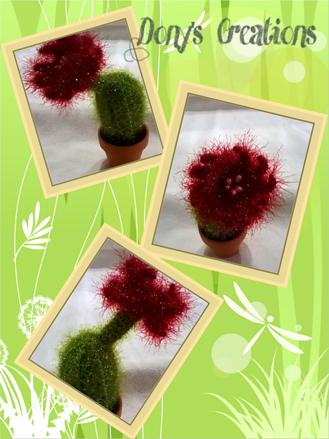 Ball cactus