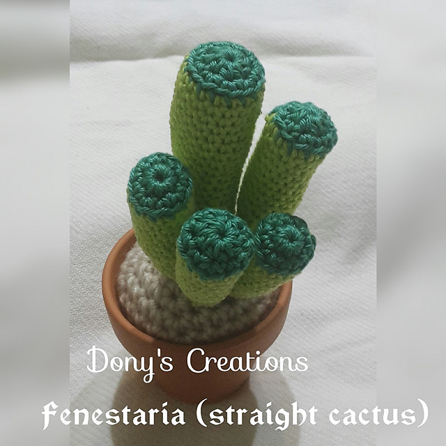 Fenestaria cactus