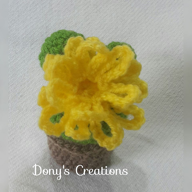 ball cactus