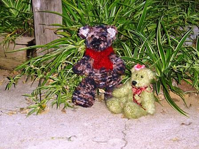 Teddy Bear
