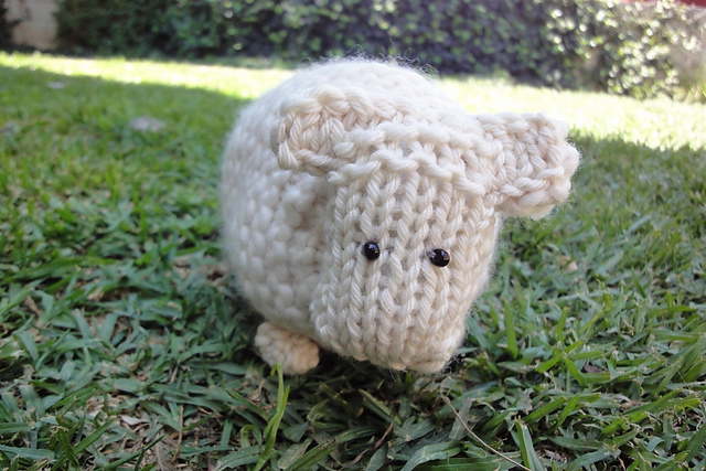 Merino Sheep