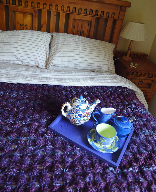 Berries Blanket