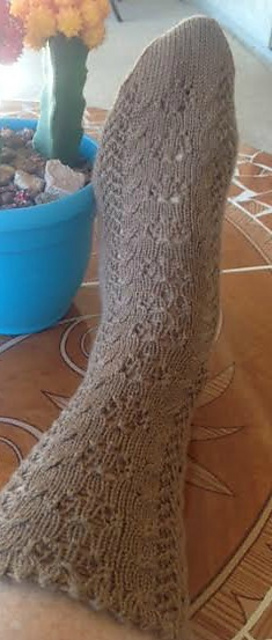 Paws for Reflection Socks