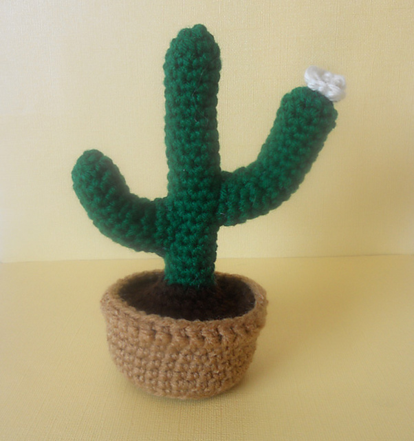 Cactus Plant