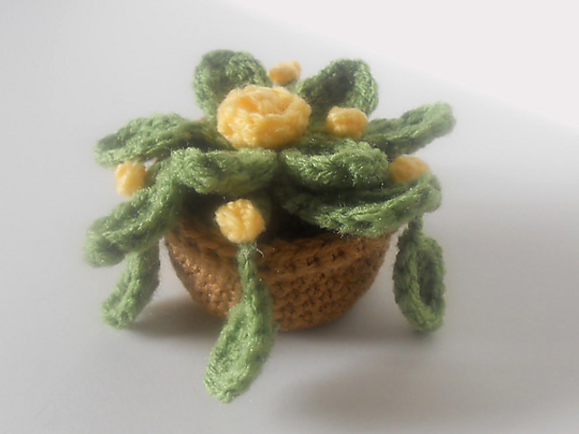 Potted Flower Plant