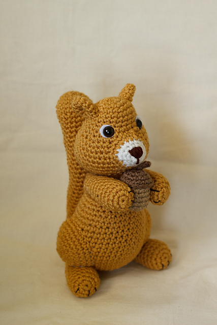 Squirrel