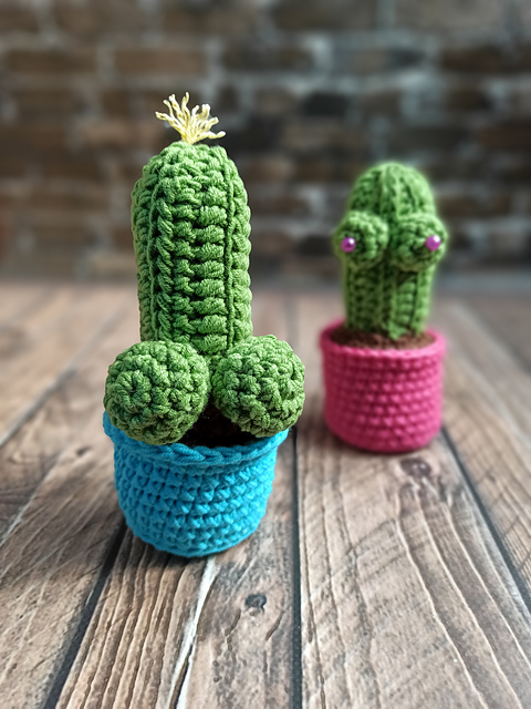 Cactus Boobs Penis
