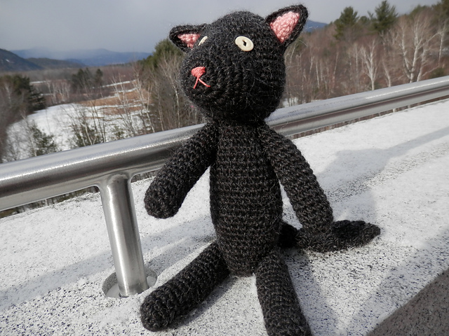 Lola: The Cat's Pajamas