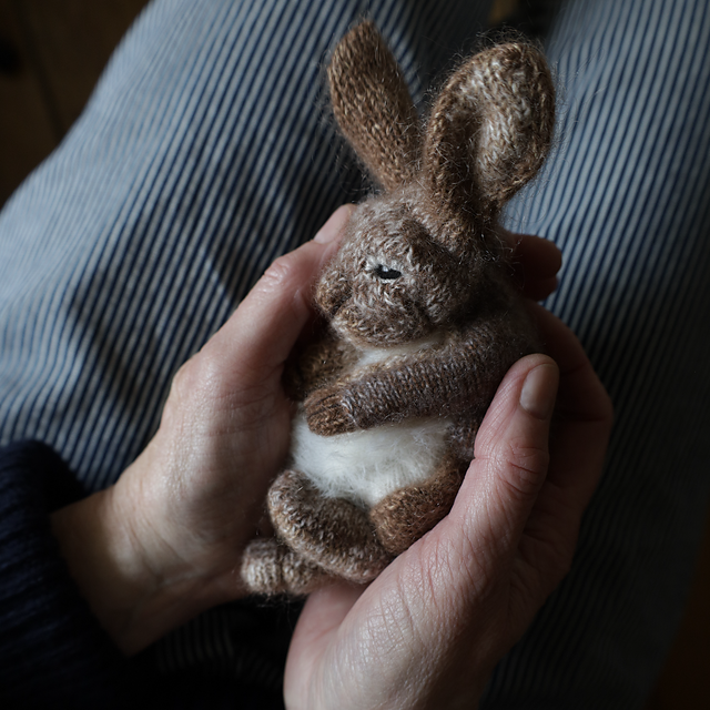 Sleepy Bunny