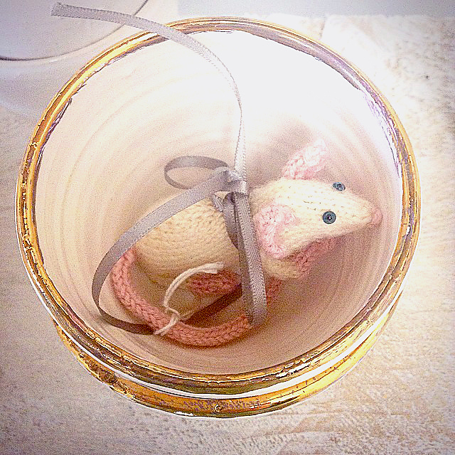 Little white pocket mouse