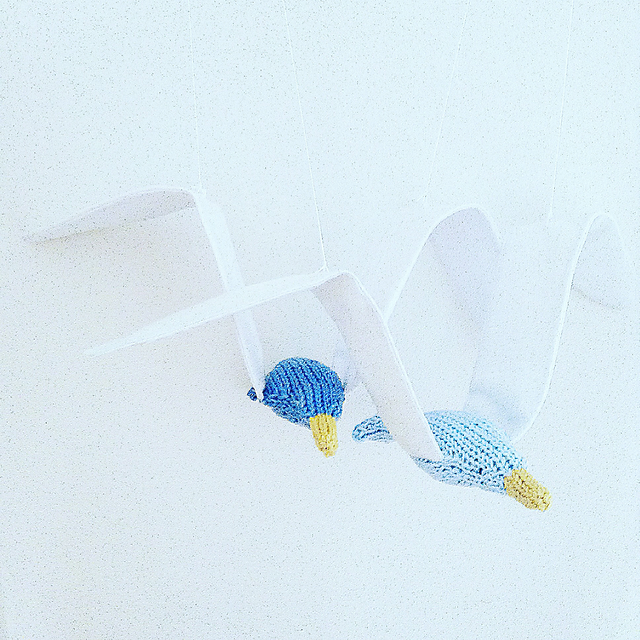 Cornish bird