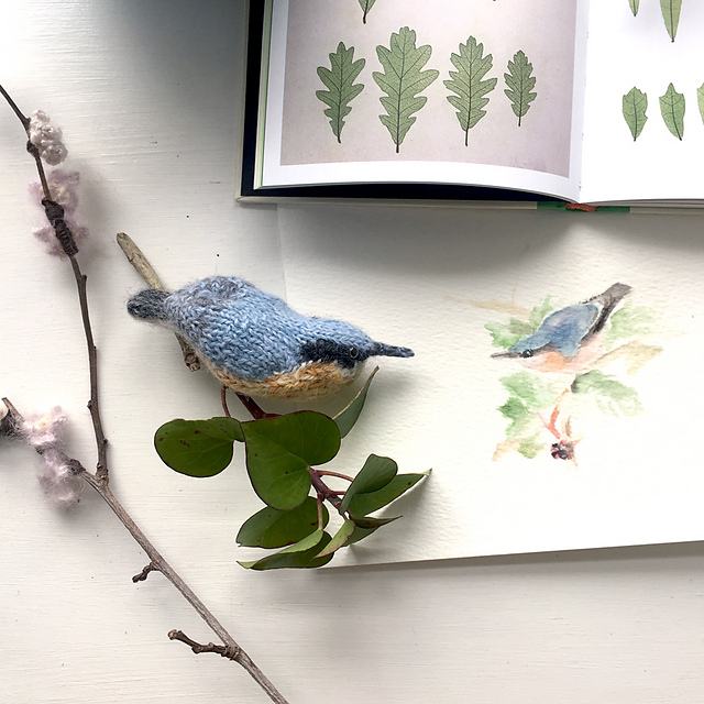 Nuthatch
