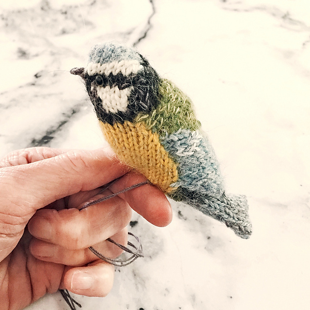 Blue Tit