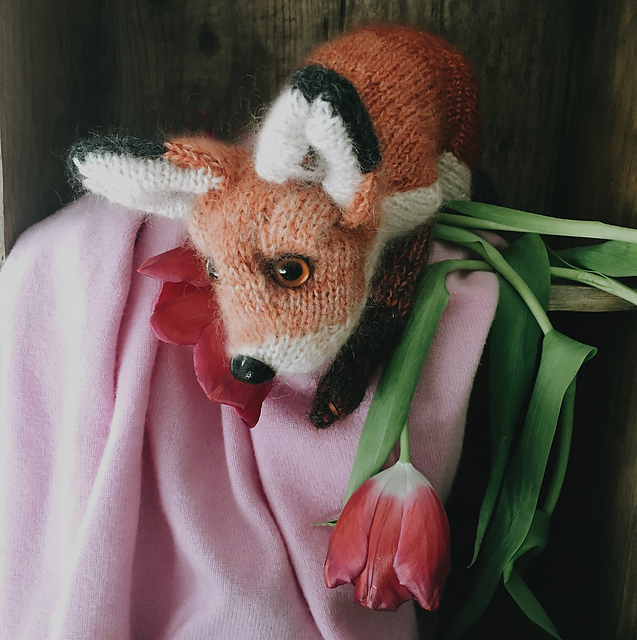 Fox Cub