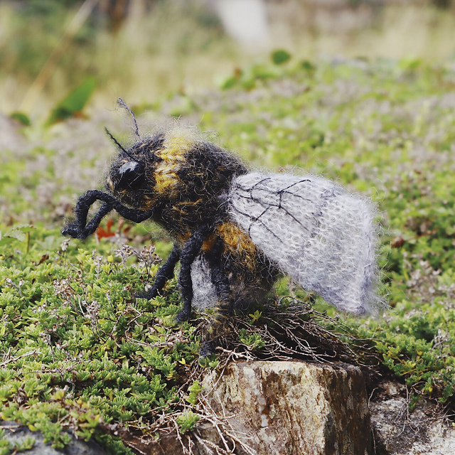 Bees are beautiful